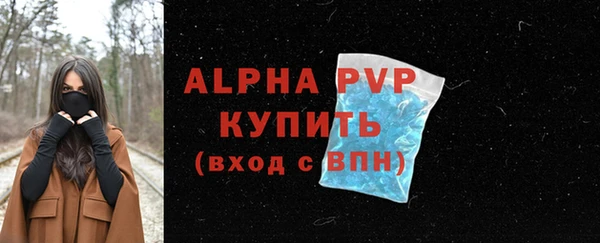 шишки Богородицк