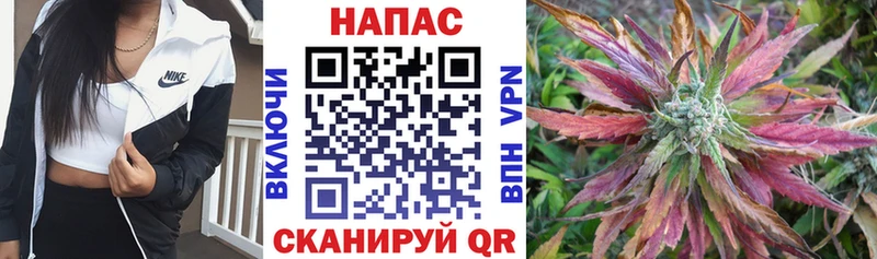 Канабис план Гороховец
